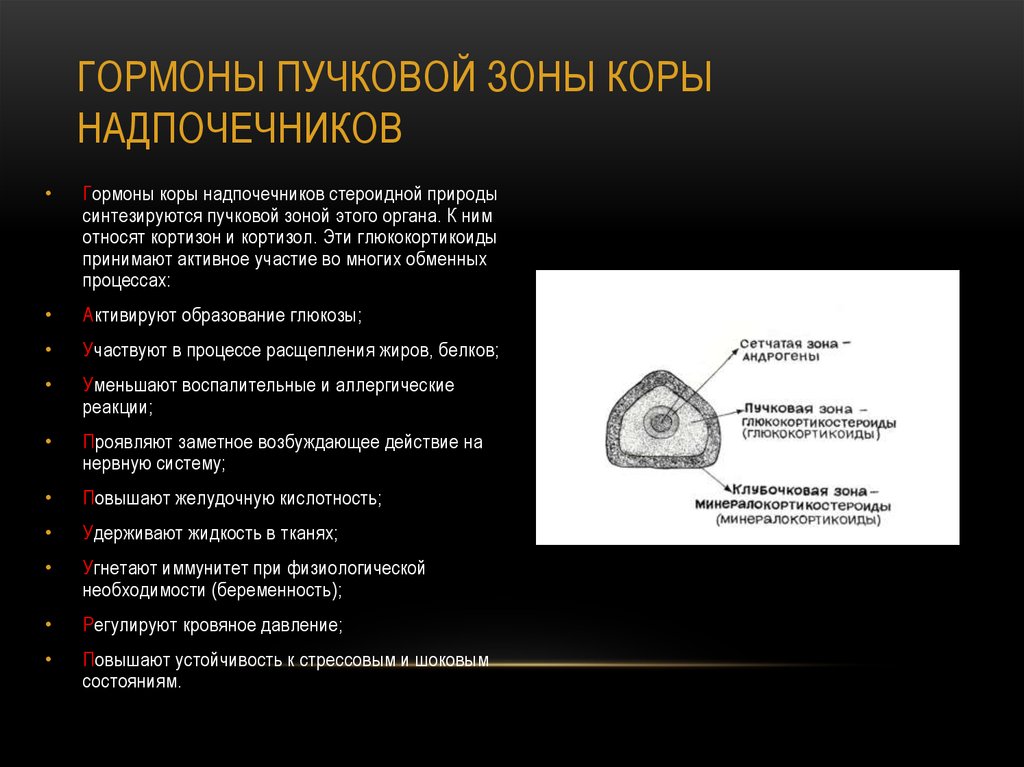 Гормоны коры надпочечников биохимия презентация