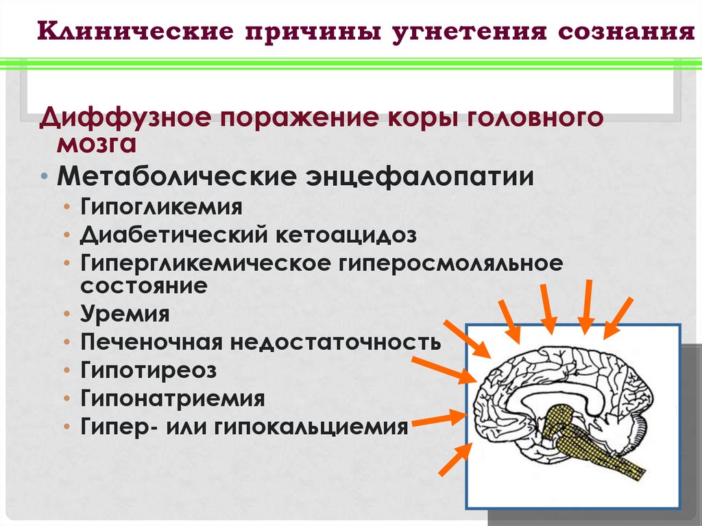 Диффузное поражение головного мозга. Метаболическая энцефалопатия. Диффузное поражение коры головного мозга. Репрезентативная система.