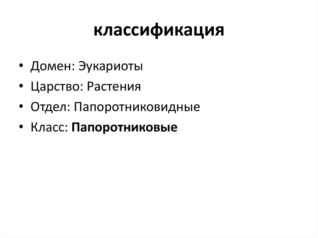 классификация