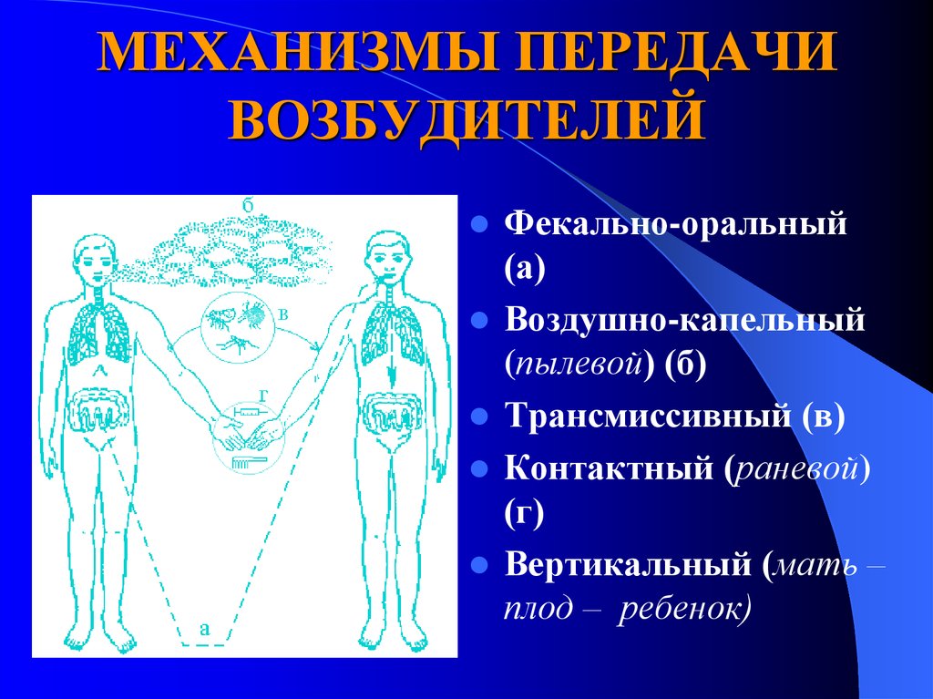 Фекально оральный механизм передачи характерен для