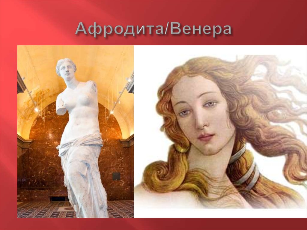 Афродита/Венера