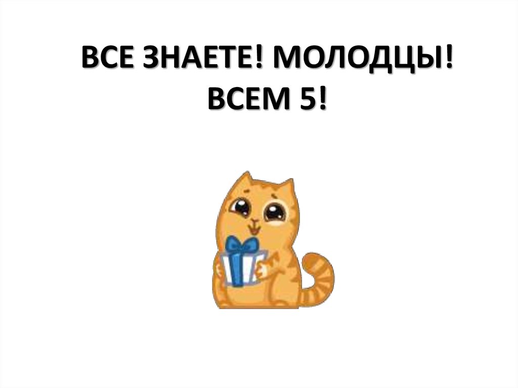 ВСЕ ЗНАЕТЕ! МОЛОДЦЫ! ВСЕМ 5!