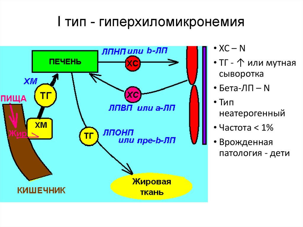 Липопротеинов низкой плотности лпнп бета