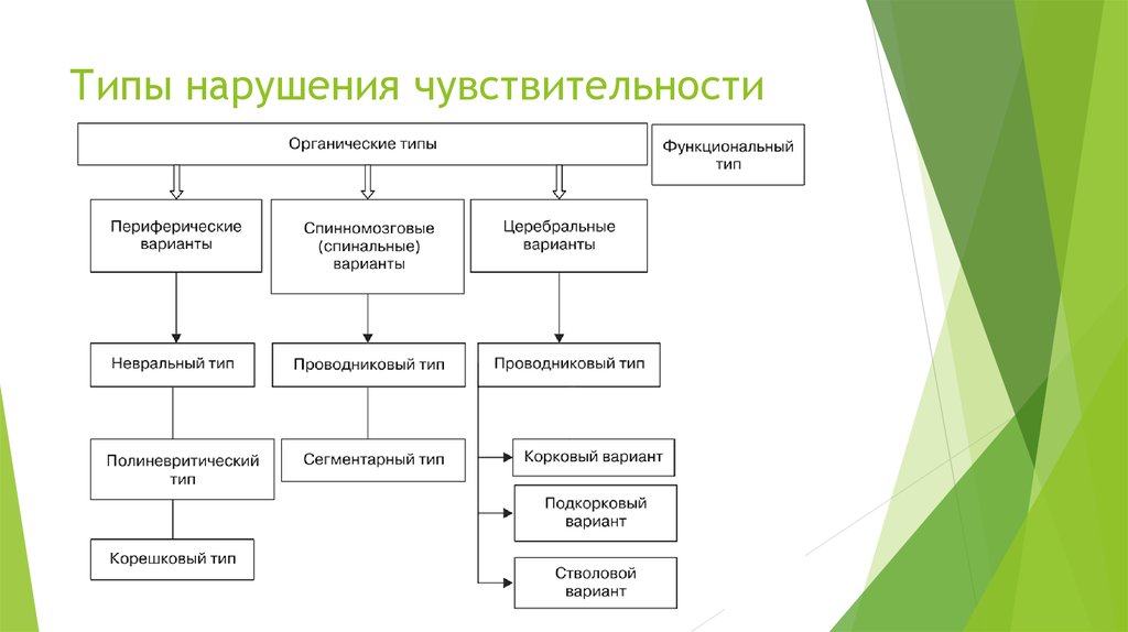 Схема нарушения чувствительности