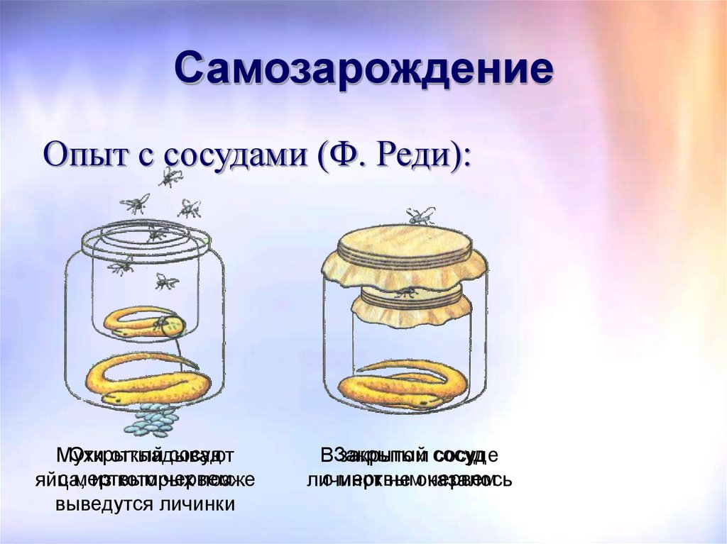 Теория самозарождения жизни на земле презентация