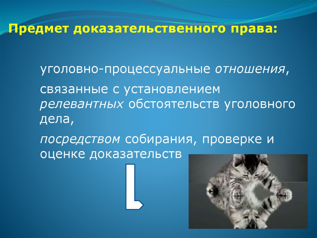 Теория доказывания. Уголовно-процессуальные отношения. Объект уголовно-процессуальных отношений. Уголовнопроцесуальные отношения. Предмет процессуального отношения.