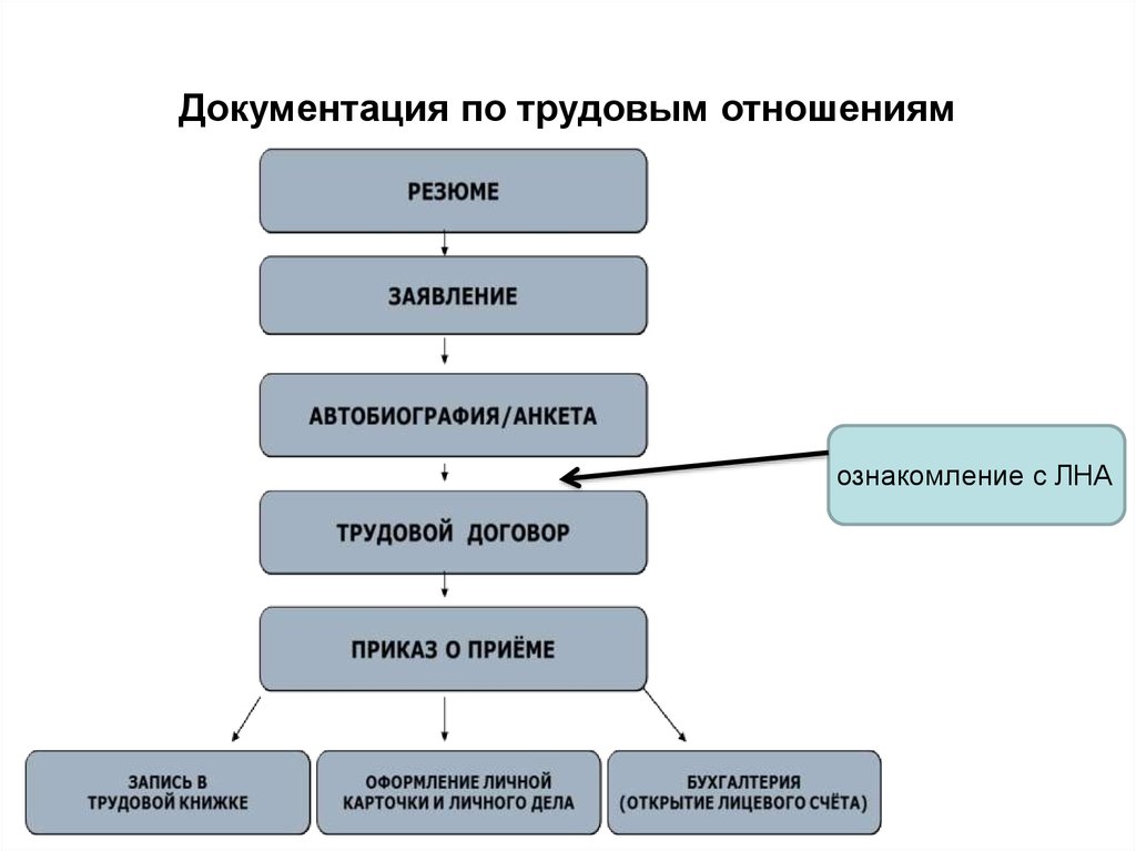 Основы трудовых правоотношений в российской федерации план