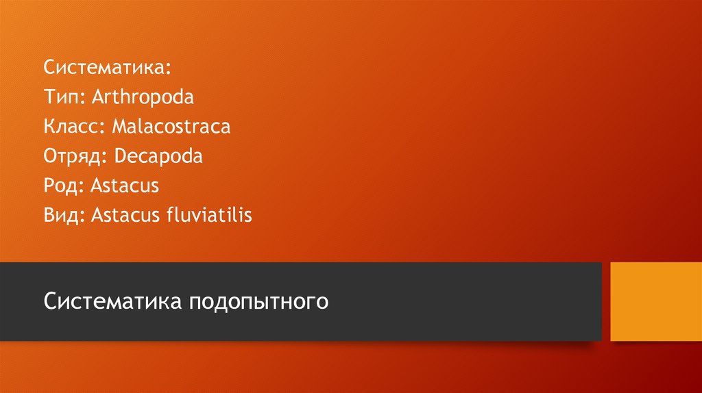 Систематика подопытного