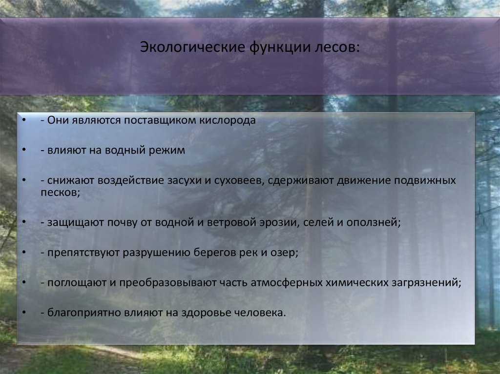 Используя материал краткой теории заполните схему экологические функции леса