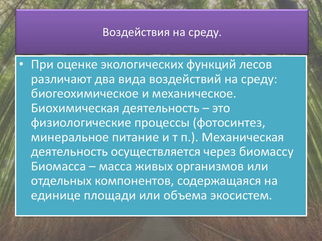 Используя материал краткой теории заполните схему экологические функции леса