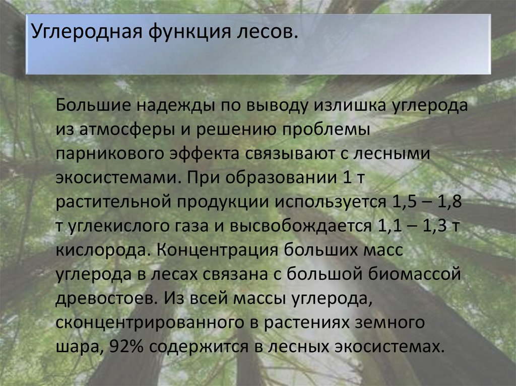 Используя материал краткой теории заполните схему экологические функции леса