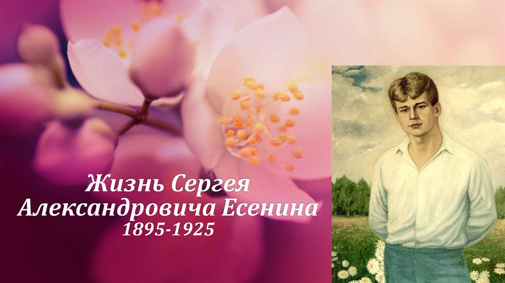 Жизнь Сергея Александровича Есенина 1895-1925