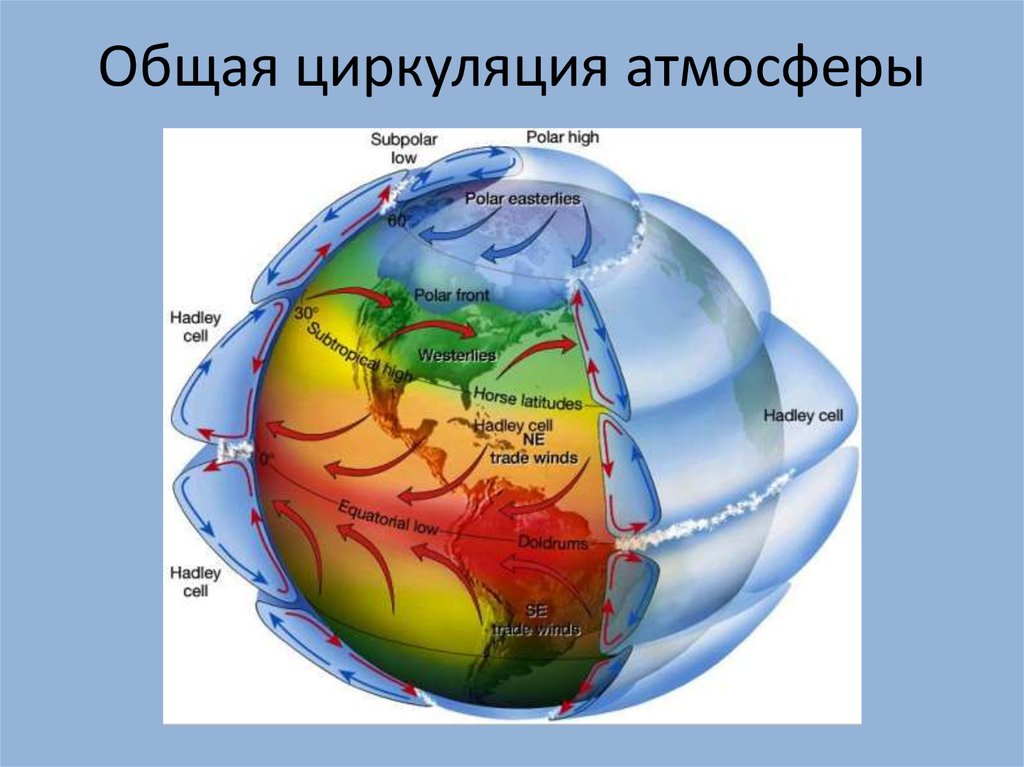 Карта общей циркуляции атмосферы