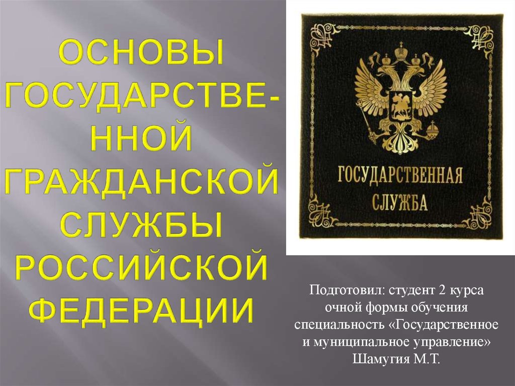 Основы государства. Государственная Гражданская служба. Службы Российской Федерации. Государственная Гражданская служба картинки. Гражданская служба в Российской Федерации.