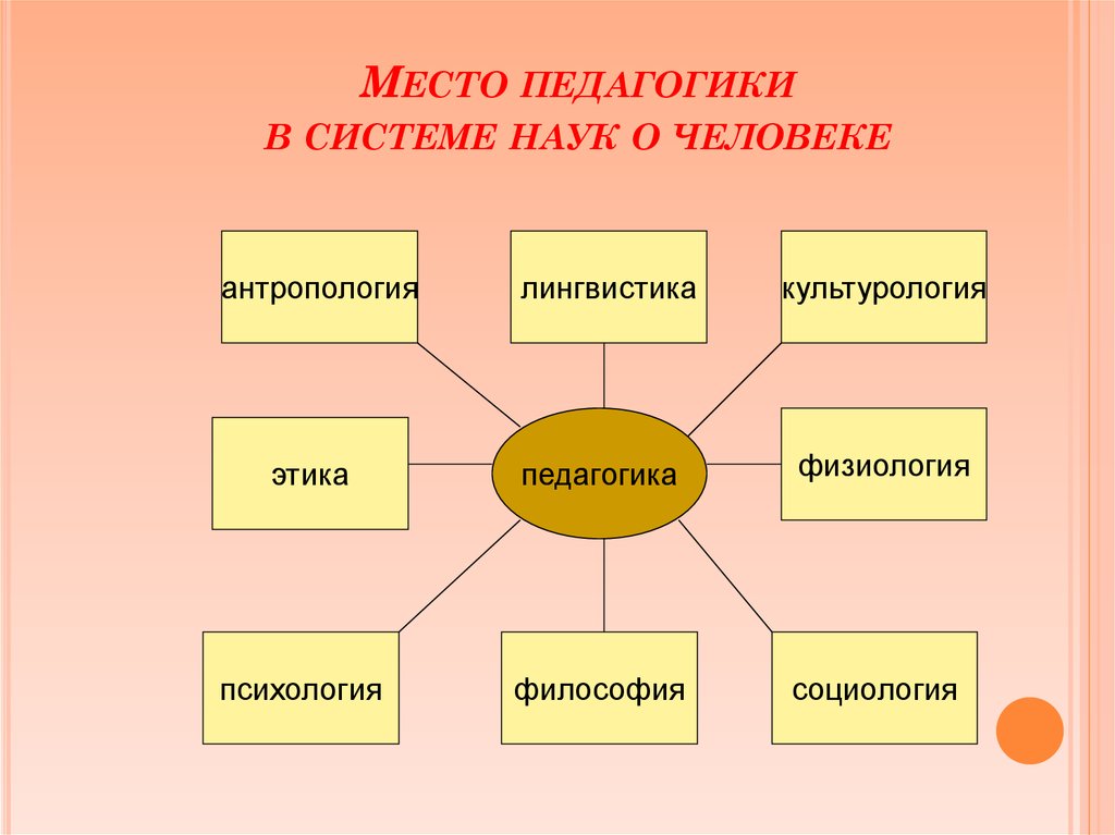 Место педагогики в системе наук о человеке схема