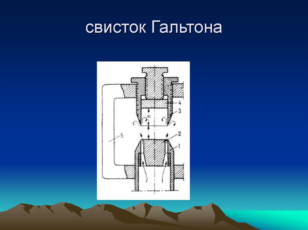 Свисток гальтона. Свисток Гальтона ультразвук. Свисток Гальтона схема. Фрэнсис Гальтон свисток. Свисток Гальтона принцип работы.