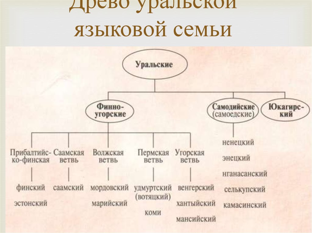 Языковые семьи россии схема