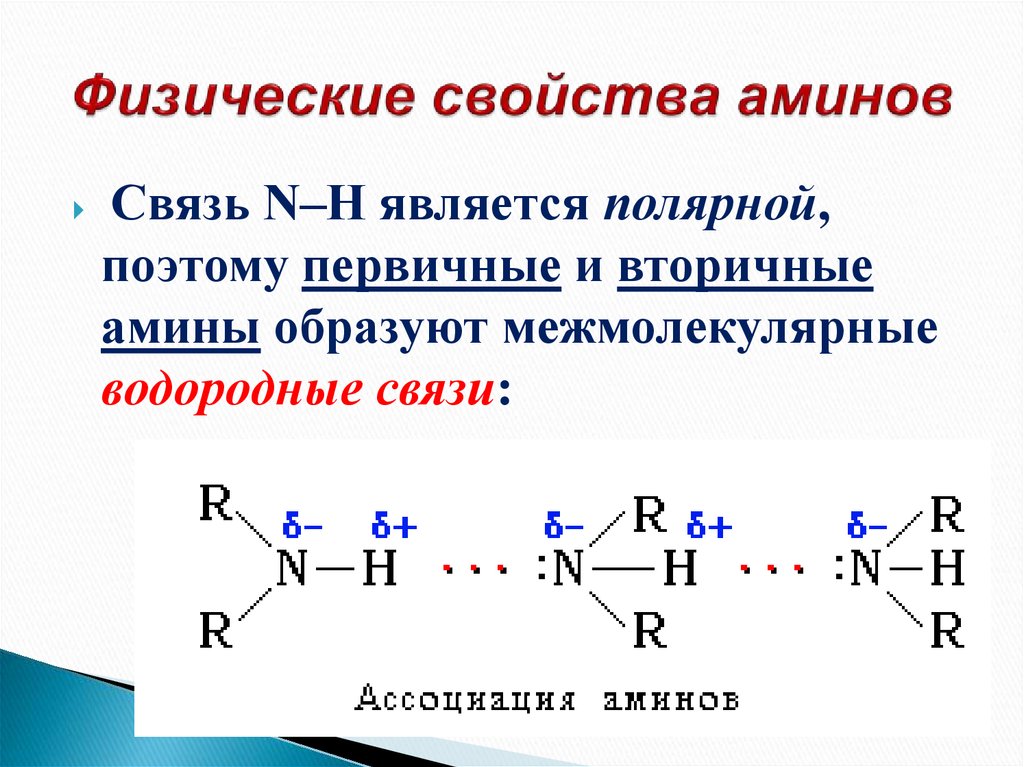 План конспект амины