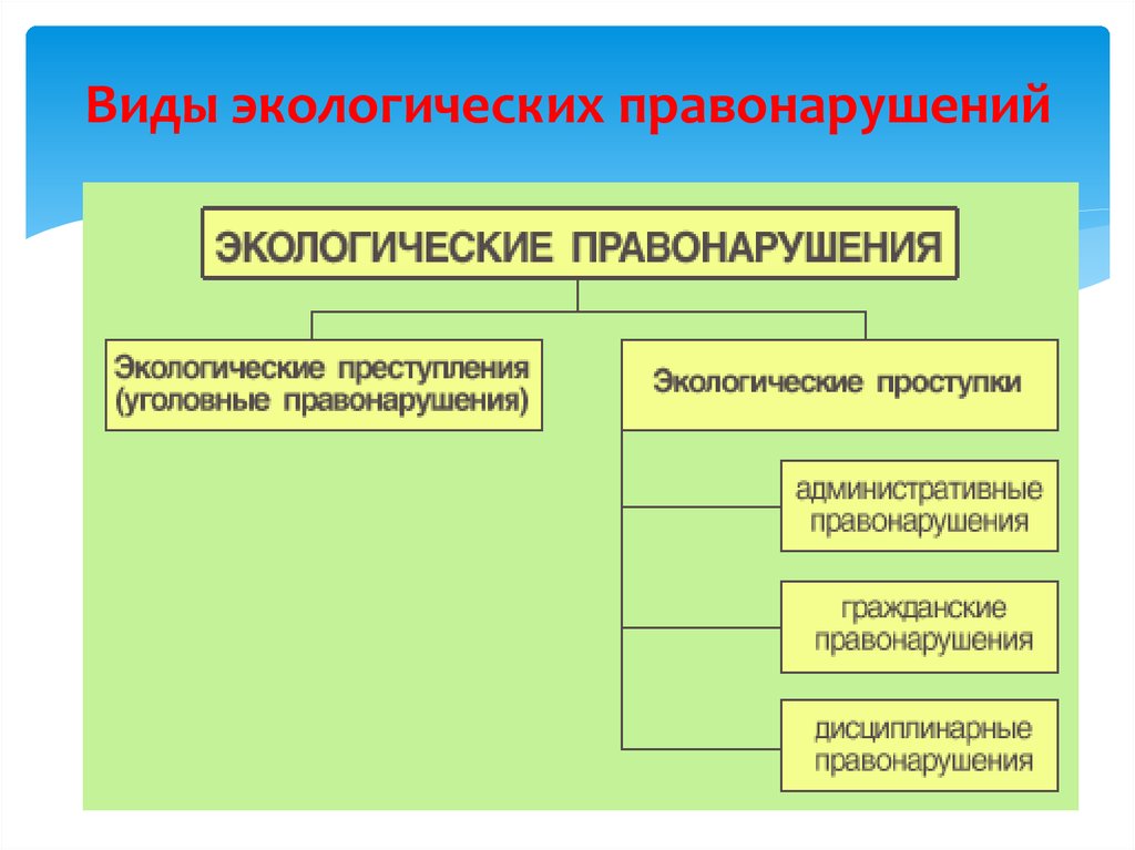 Вид природной деятельности. Экологические правонарушения. Виды экологических правонарушений. Ответственность за экологические правонарушения. Юридическая ответственность за экологические правонарушения.