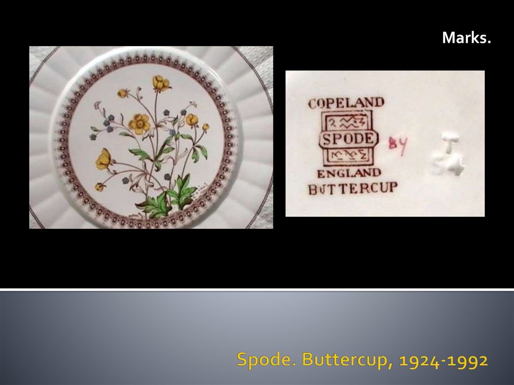 Spode. Buttercup, 1924-1992