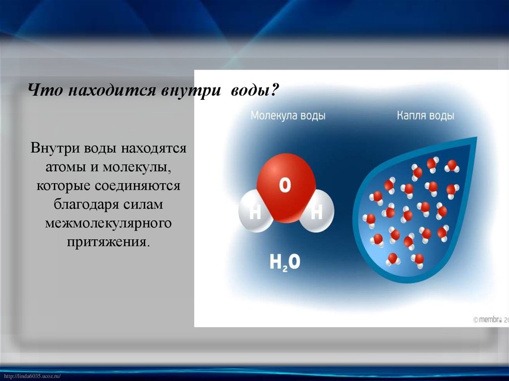 Что находится внутри воды?