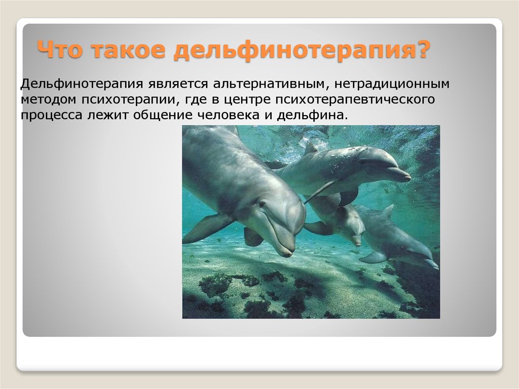 Дельфинотерапия. Лечебные факторы дельфинотерапии - презентация онлайн