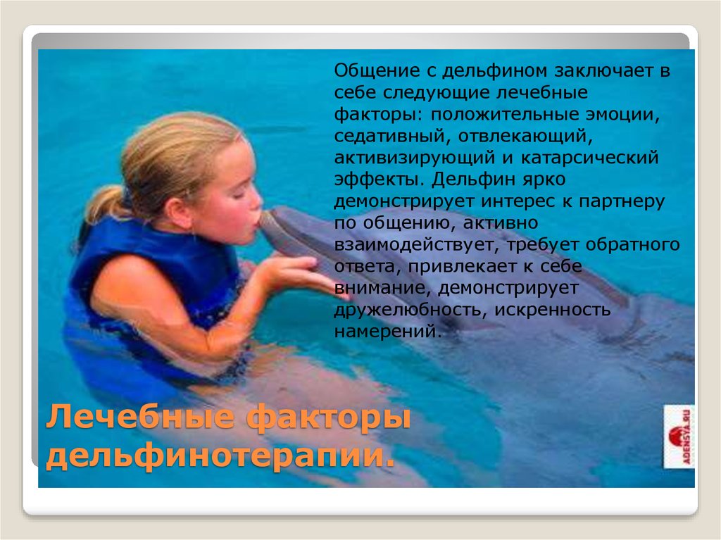 Лечебные факторы дельфинотерапии.