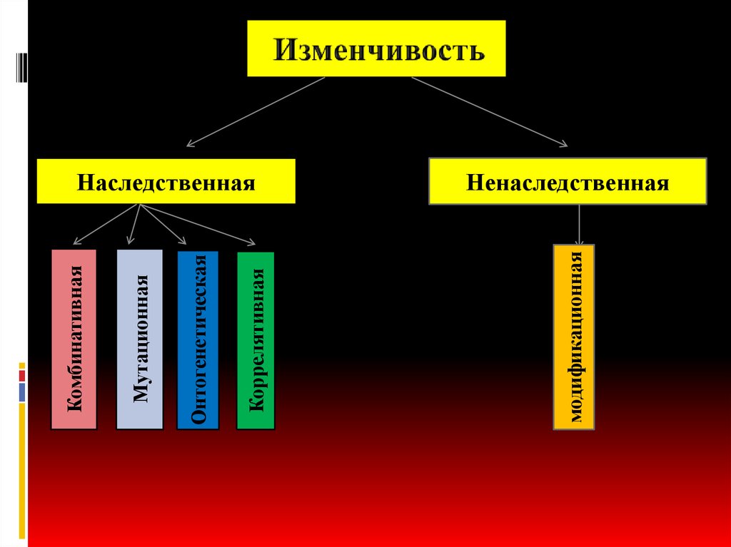 Наследственная комбинативная и мутационная