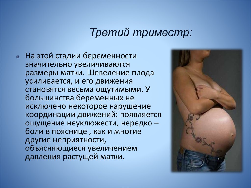 Поясница беременность форум. Третий триместр беременности. Шевеление плода. Третий триммер беременности. Живот в 3 триместре беременности.