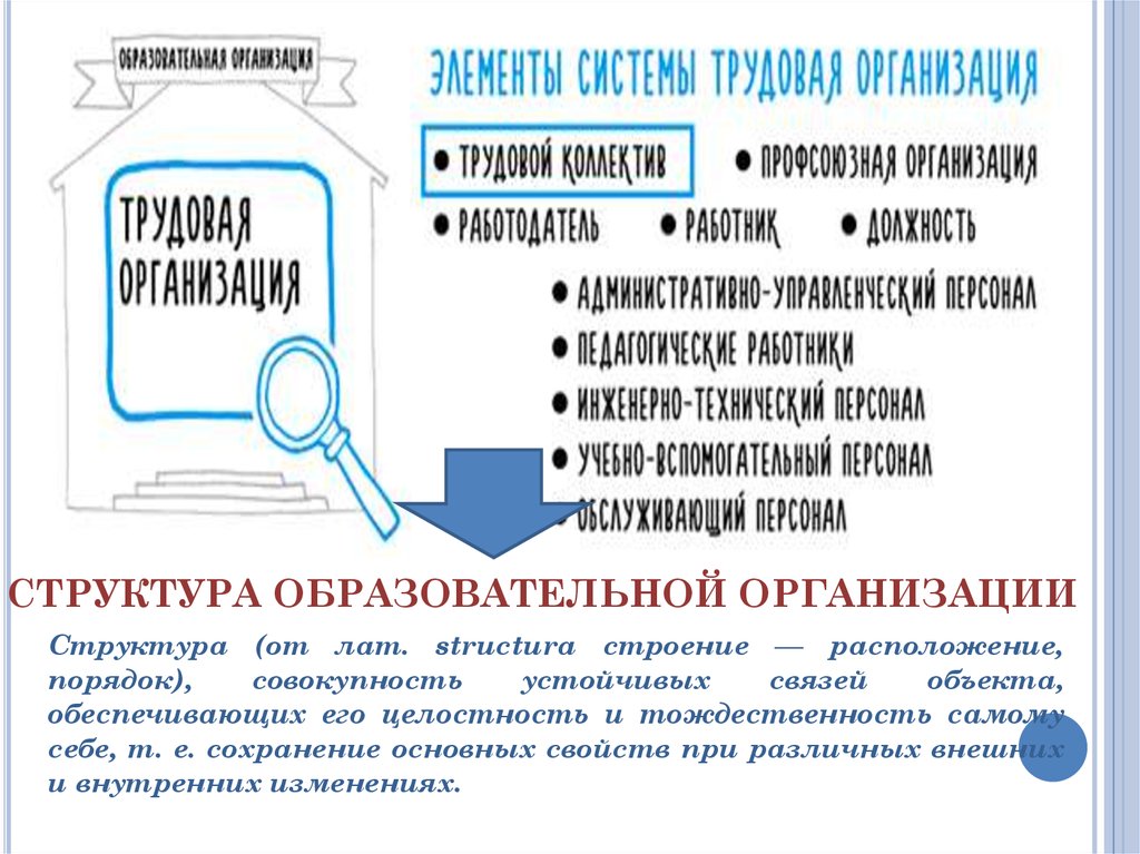 Основы управления организацией образования