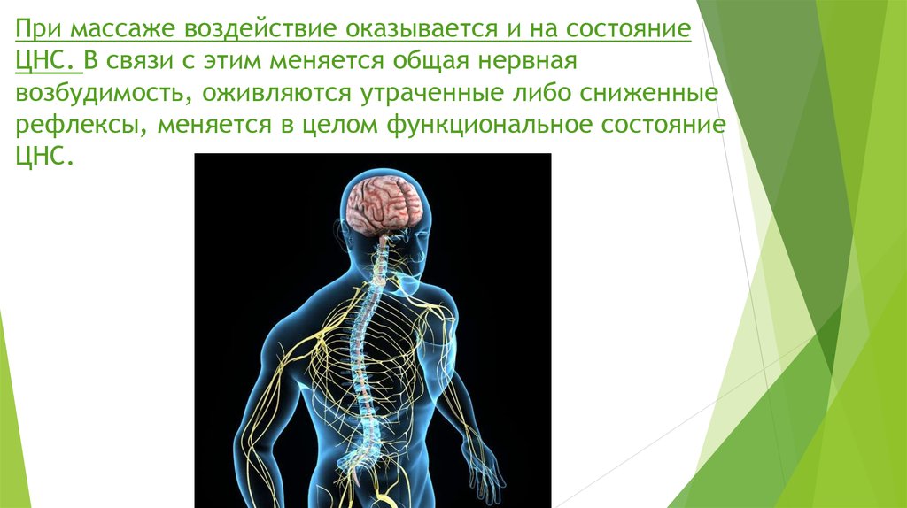 Состояние нервной системы. Функциональные состояния ЦНС. Функциональное состояние нервной системы. Методы оценки функционального состояния центральной нервной системы.