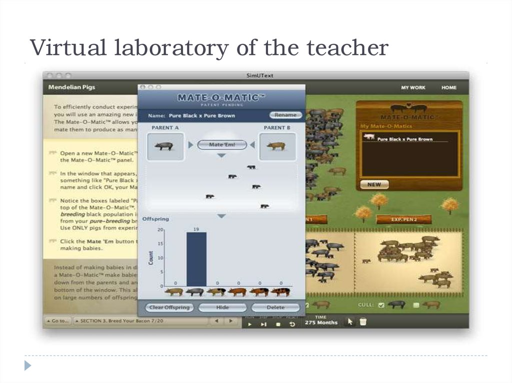 Virtual laboratory of the teacher