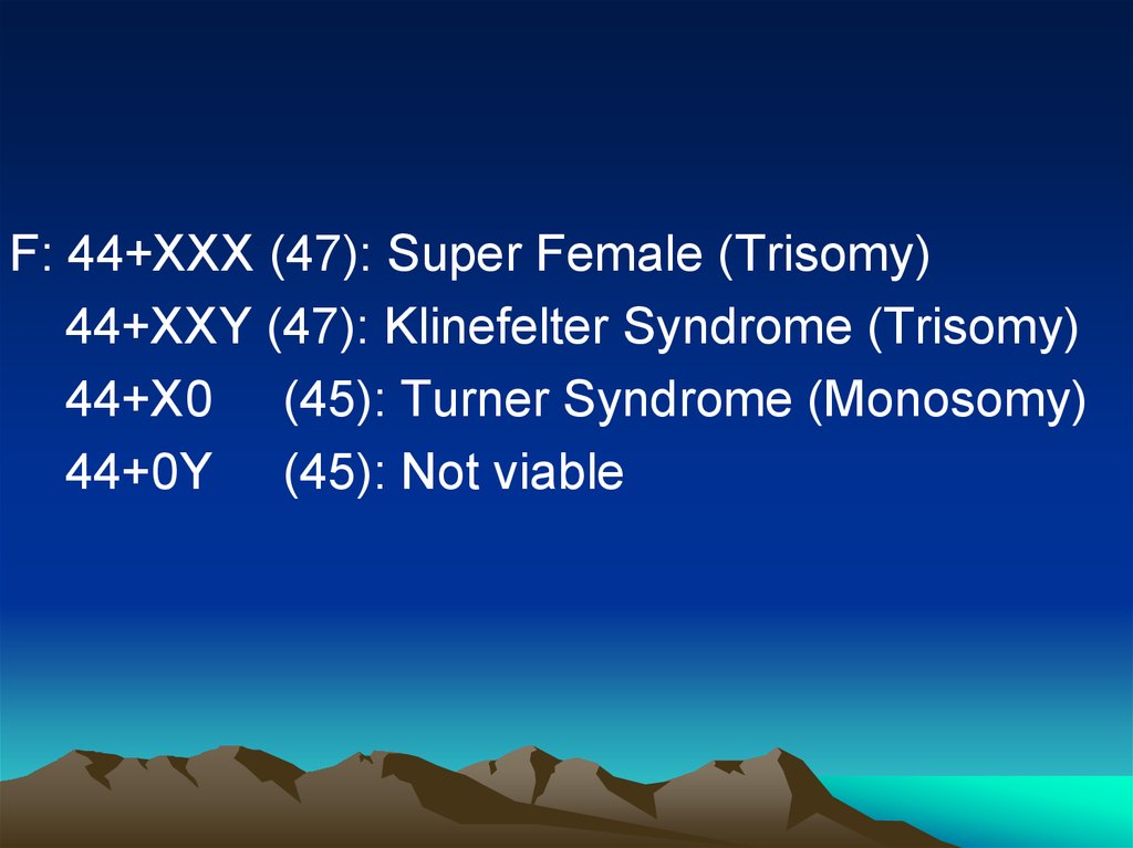 Klinefelters Syndrome Super Female Syndrome Discountedreboundingdvd