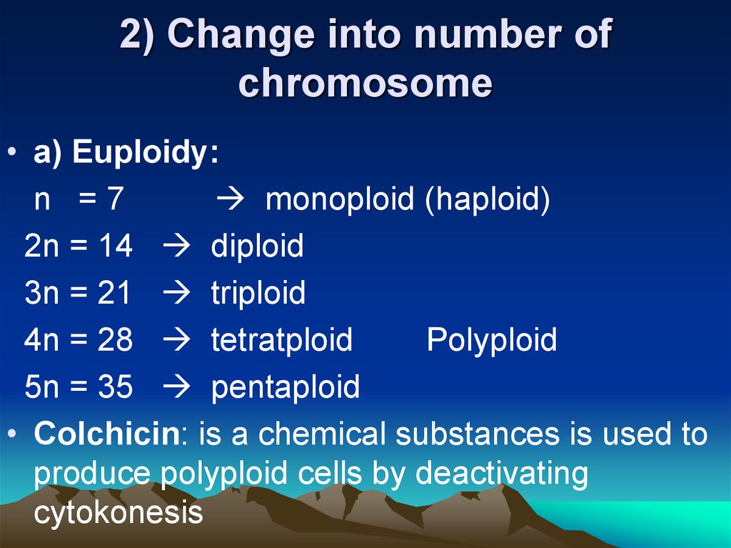 2) Change into number of chromosome