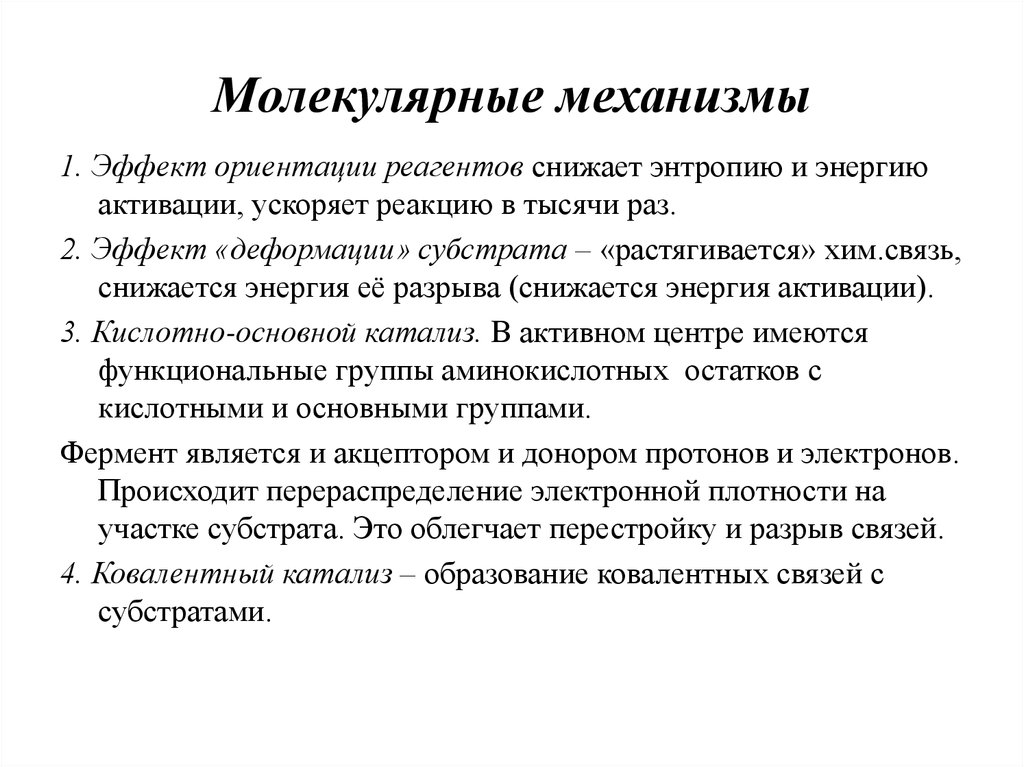 Молекулярные механизмы. Эффект деформации субстрата. Молекулярные механизмы памяти. Молекулярные механизмы персистенции.