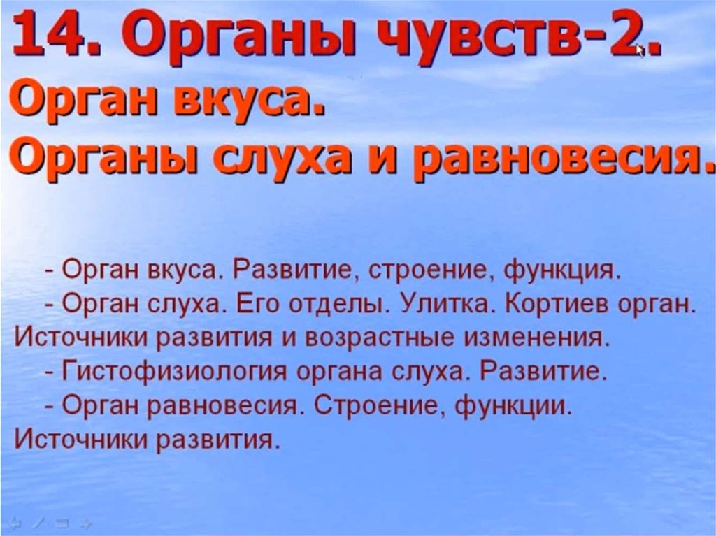 Чувствую 2. Органы чувств медведя. Какой орган чувств у медведя. Орган слуха у медведя.