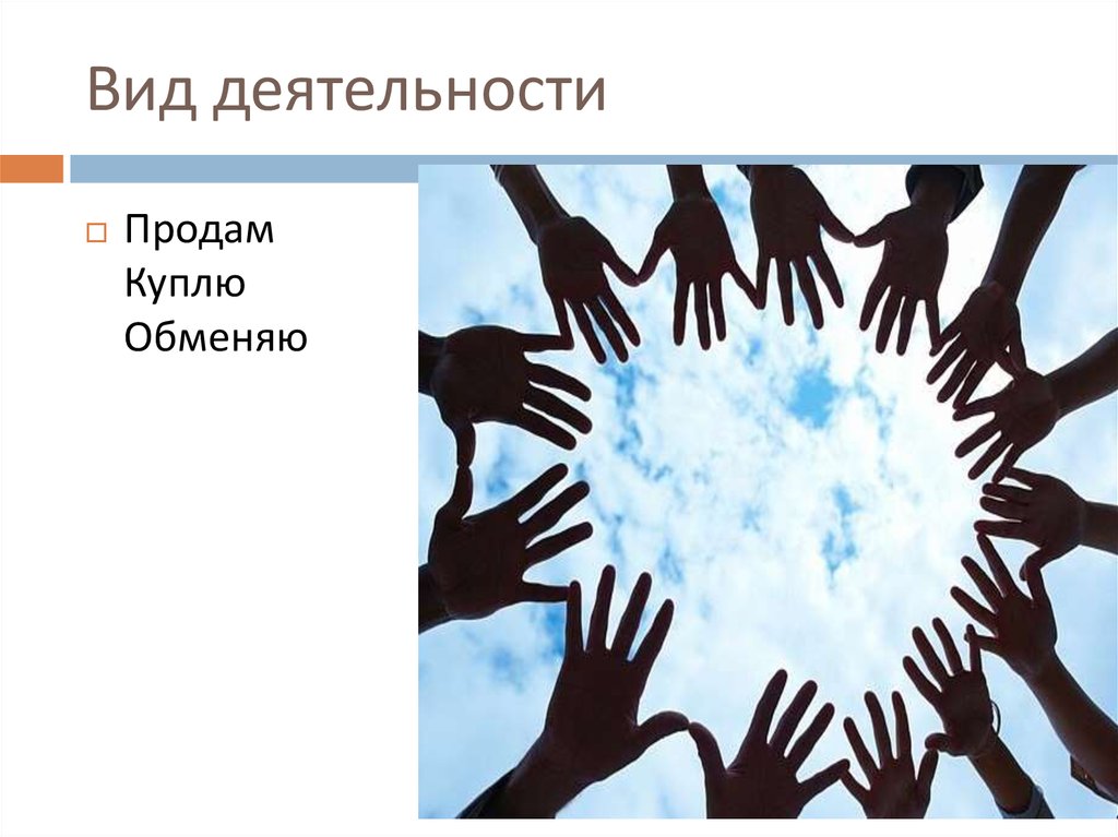 Вид деятельности