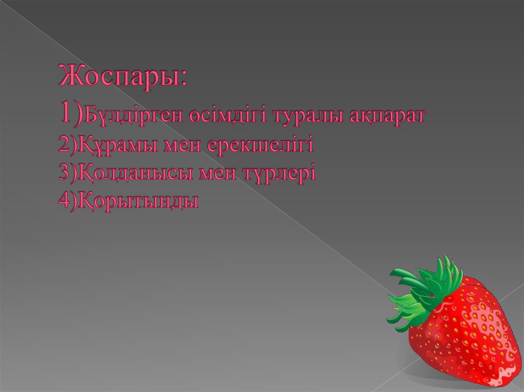 Жоспары: 1)Бүлдірген өсімдігі туралы ақпарат 2)Құрамы мен ерекшелігі 3)Қолданысы мен түрлері 4)Қорытынды