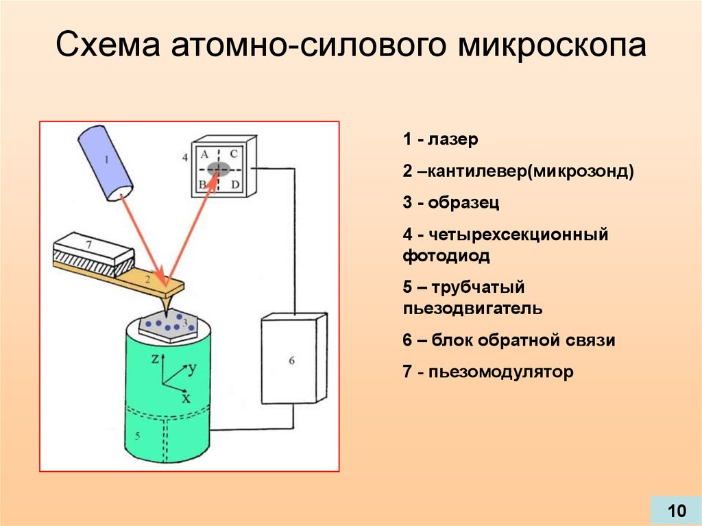 Атомно силовой микроскоп схема