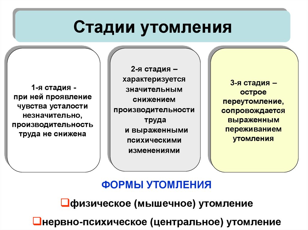 Характеристика утомления. Стадии утомления. Фазы утомления. Степени утомления. Развитие утомления.