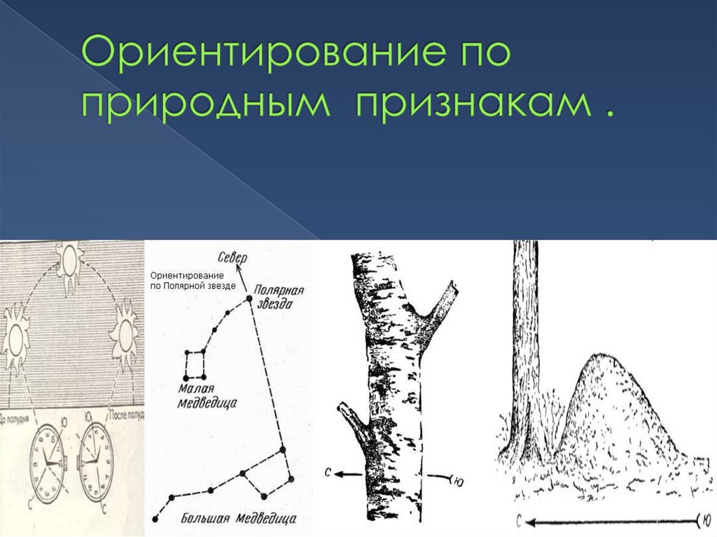 Природные признаки. Ориентирование по природным признакам. Ориентация по природным признакам. Ориентировка по природным признакам. Как ориентироваться на природным признакам.