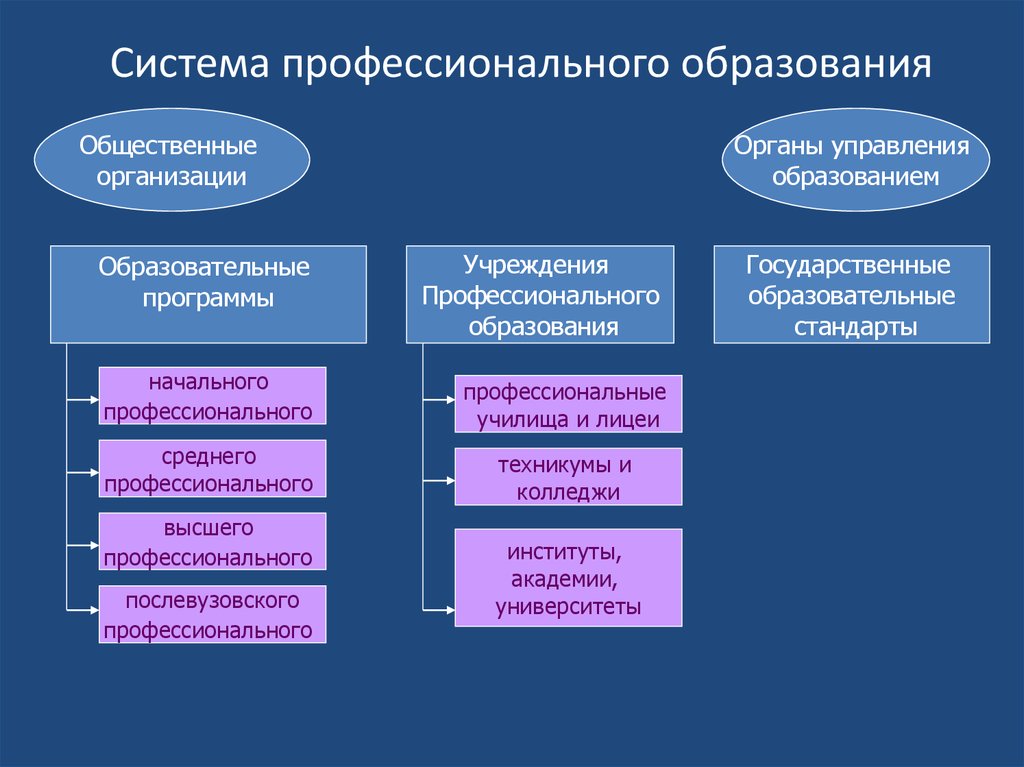 Средне профессиональная образовательная организация. Структура профессионального образования. Структура среднего профессионального образования. Структура системы профессионального образования. Структура проф образования.