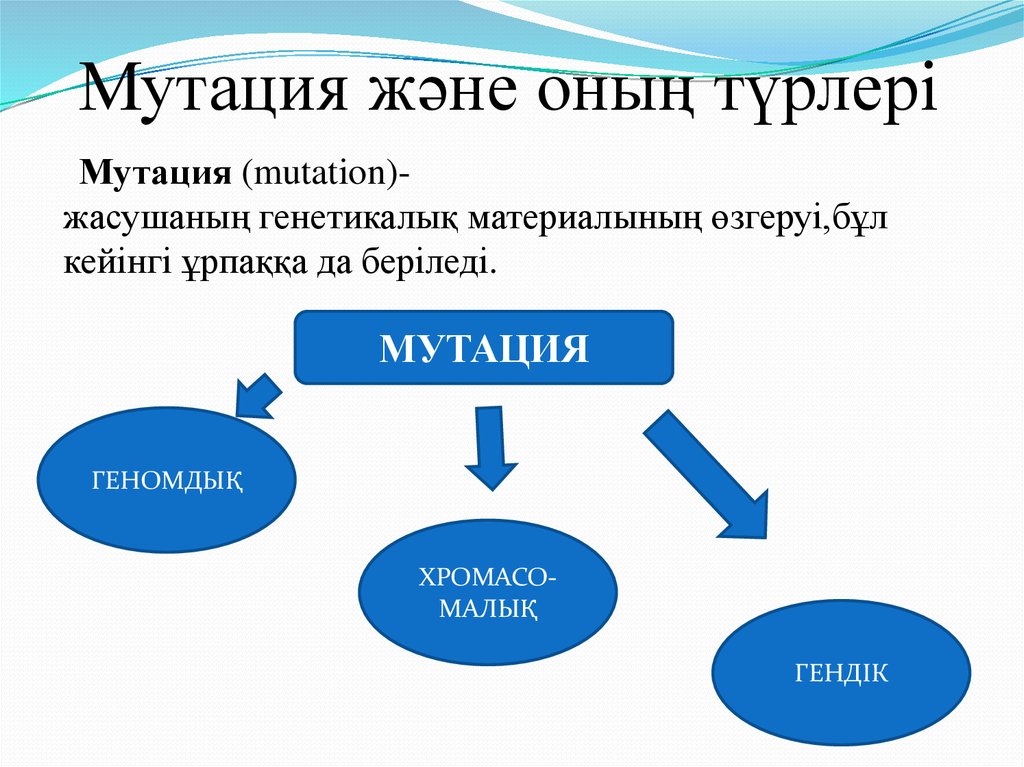 Мутация презентация казакша