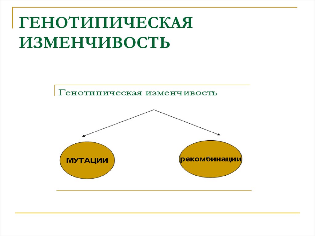 Генотипическая изменчивость. Генотипическая изменчивость микроорганизмов. Генотипическая изменчивость бактерий. Классификация изменчивости микробиология.