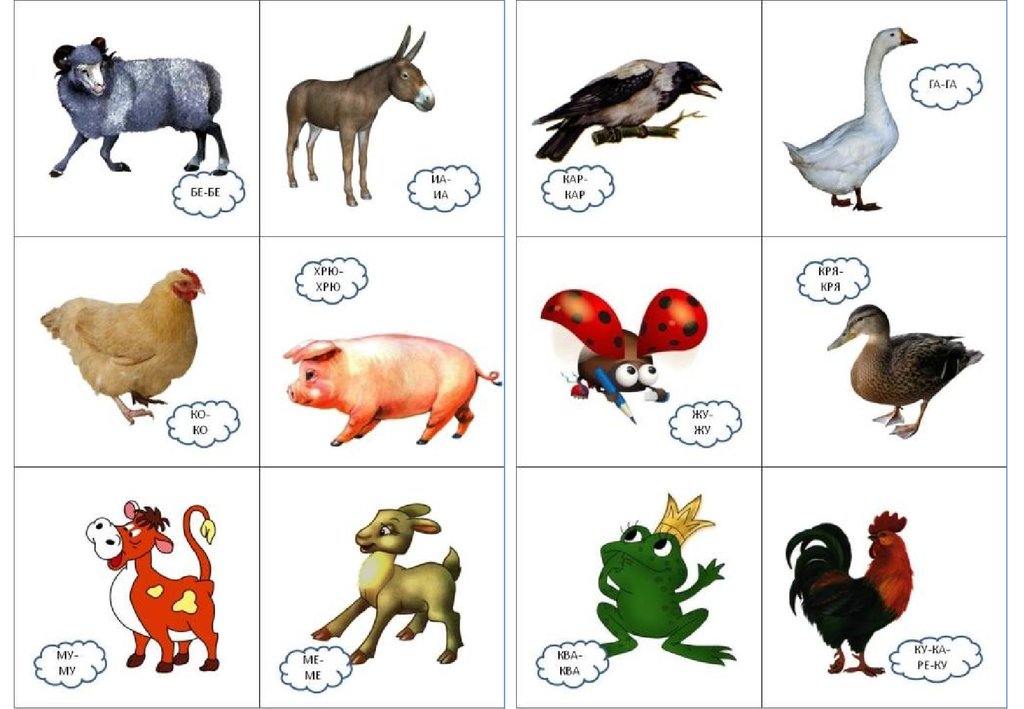 Звуки в слове зверек. Для детей. Животные. Карточки с животными для малышей. Звукоподражание животных для детей. Животные для дошкольников.