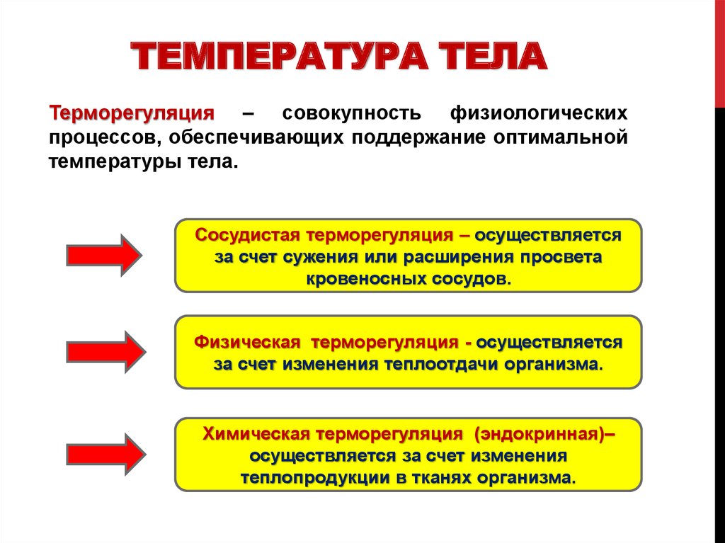 Проект температура тела