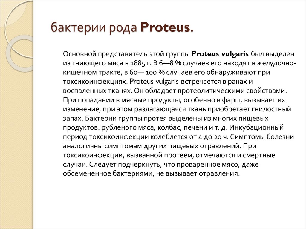 бактерии рода Proteus.