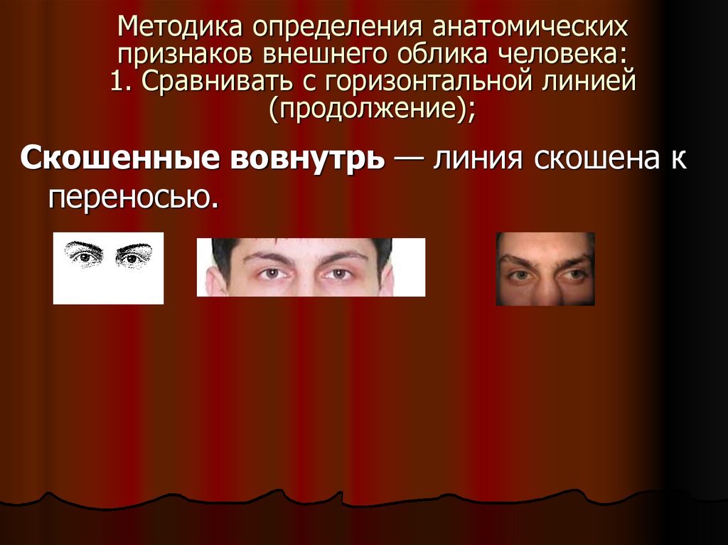 Признаки внешнего облика человека. Анатомические признаки внешнего облика человека. Закономерности изменения внешнего облика человека. Индивидуальность внешний облик. Значение внешнего облика человека.