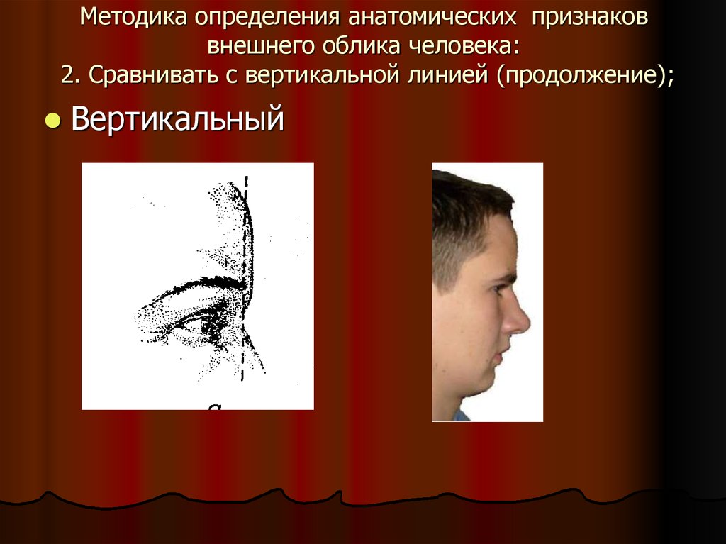 Внешнее проявление человека это. Брови габитоскопия. Субъективный портрет внешнего облика человека.. Лоб габитоскопия. Анатомические признаки внешнего облика человека.