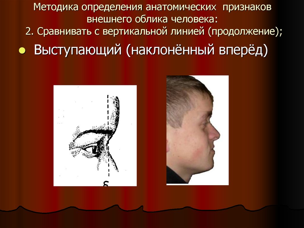 Внешнее проявление человека это. Лоб габитоскопия. Уши в габитоскопии. Субъективный портрет внешнего облика человека.. Анатомические признаки внешнего облика человека.